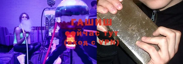 МДПВ Бородино