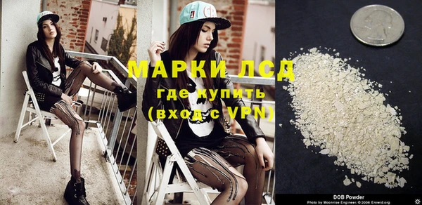 МДПВ Бородино