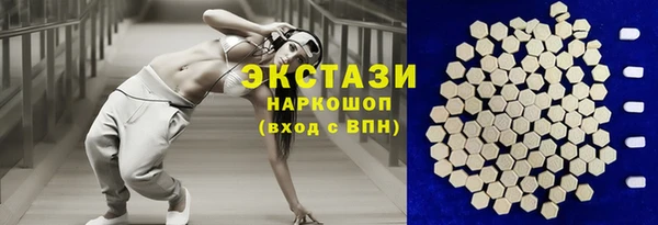 МДПВ Бородино