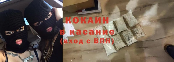 МДПВ Бородино