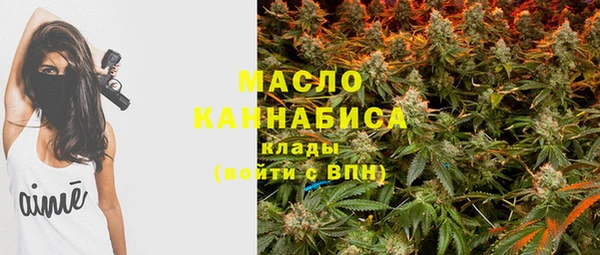 МДПВ Бородино