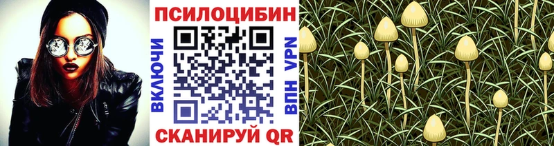 Псилоцибиновые грибы мухоморы  Купить где  Валдай 